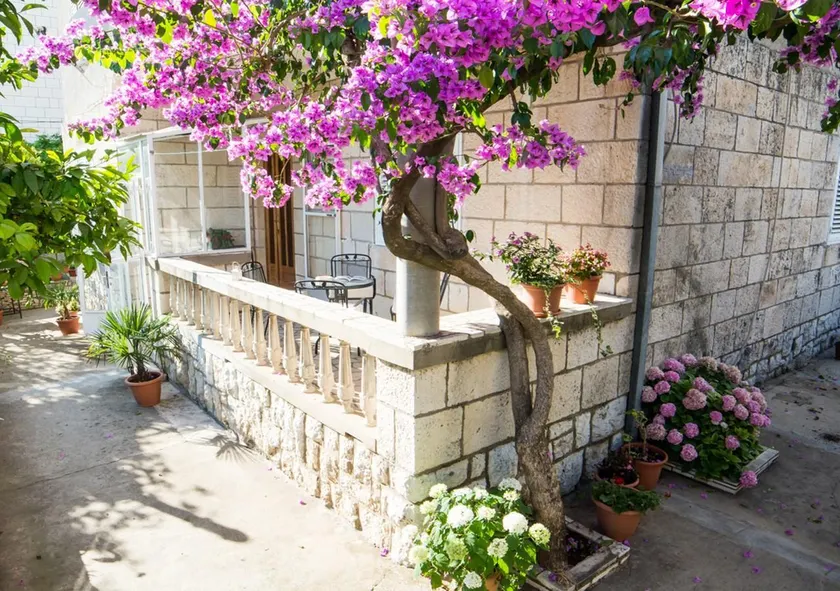 Apartments Bungevilla - Image 1