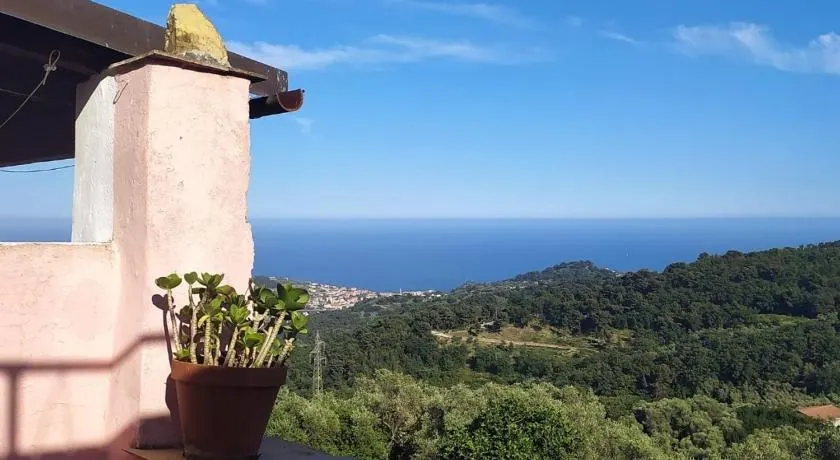 La casa rosa - Image 1