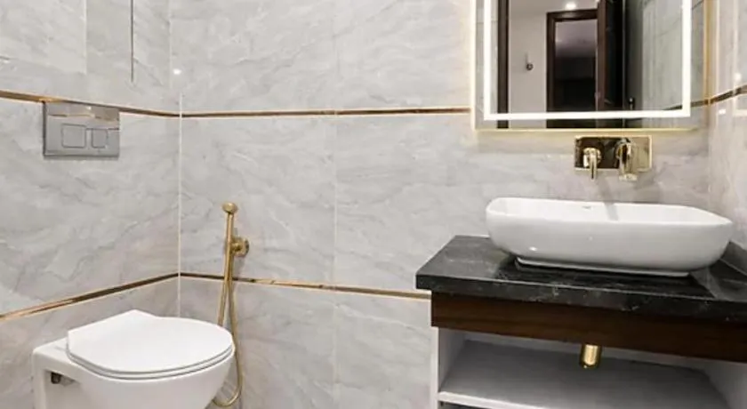 Hotel Silver Leaf inn Near Igi Airport Delhi - Image 1