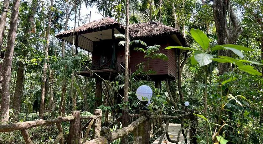 Khao Sok Paradise Resort - Image 1