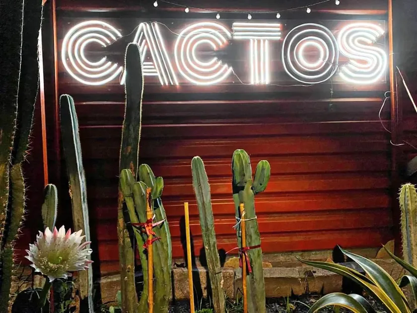 Cactos Chill & Homestay - Image 1