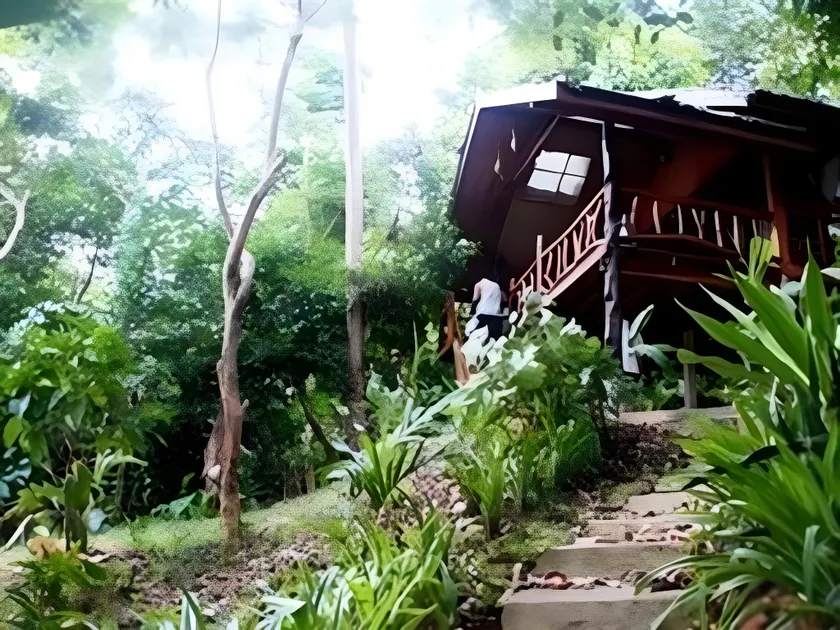 Phi Phi Sunset Bay Resort - Image 1