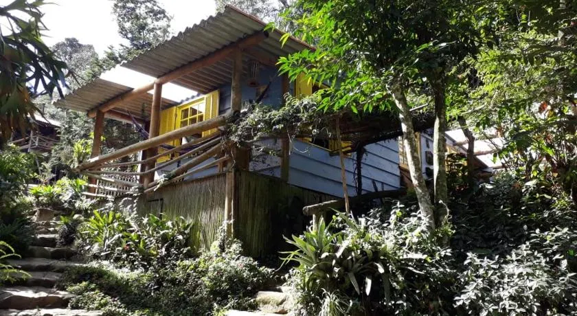Chales Bamboo Jungle - Image 1