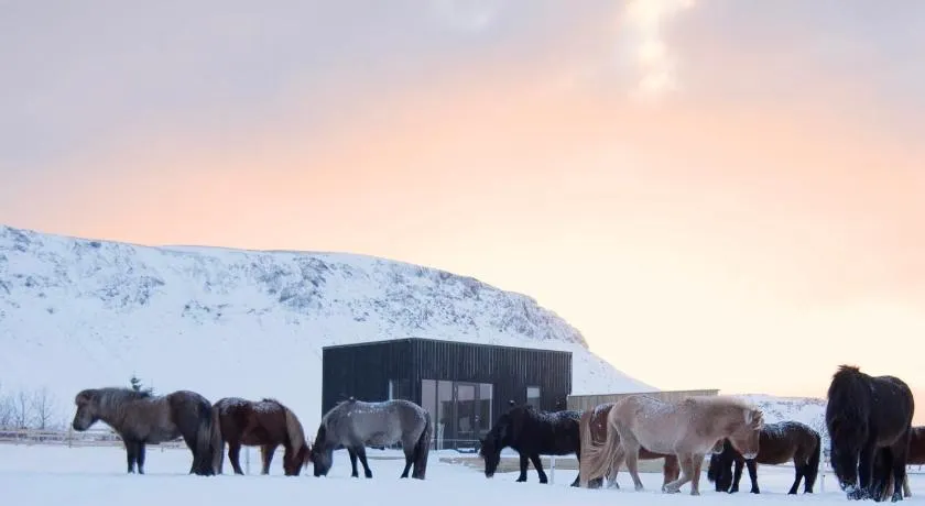 Akurgerði Guesthouse 6 - Country Life Style - Image 1