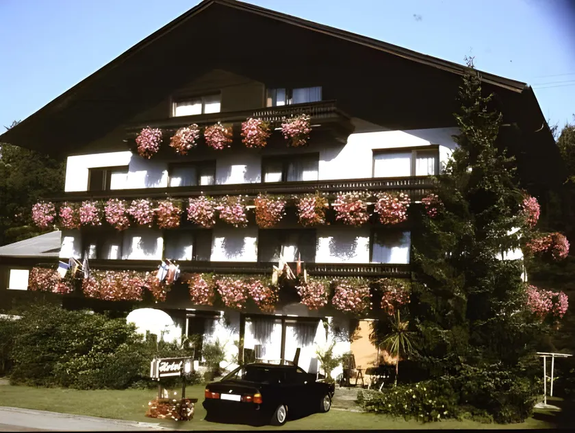 Schwarzwaldhotel Sonne - Image 1