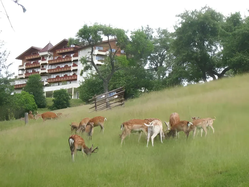 Natur- und Wohlfühlhotel Kastenholz - Image 1