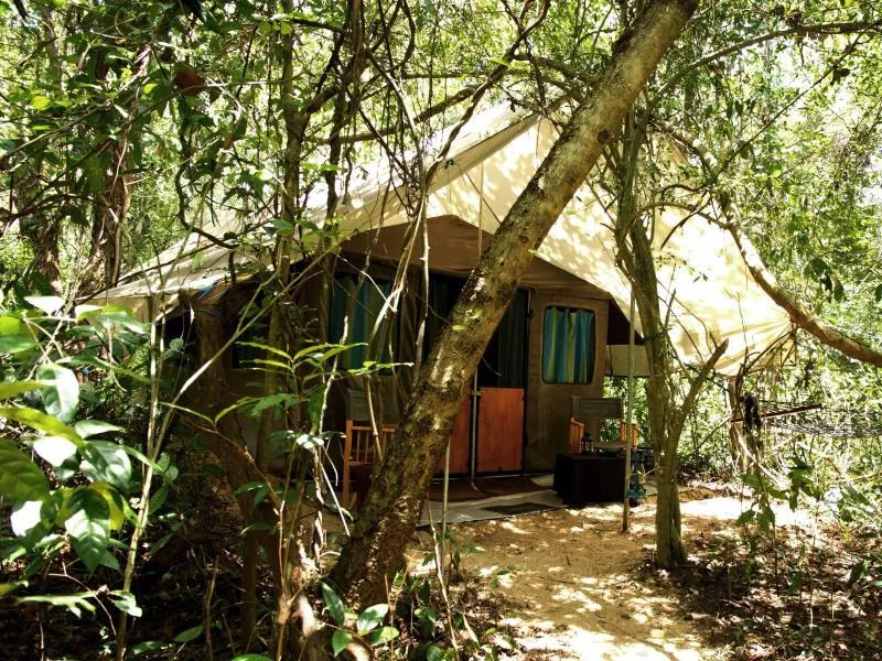 Explorer by Eco Team - Dambana - Image 1