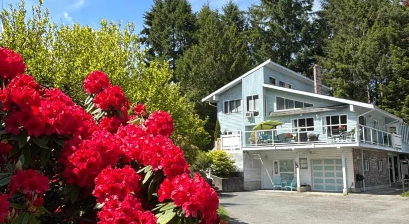 Bayview Bed and Breakfast - Image 1
