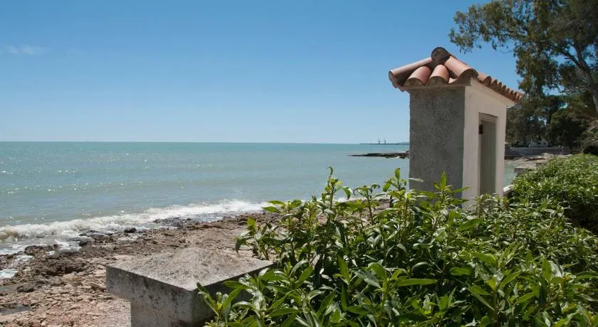 Sargantana Blava - Image 1