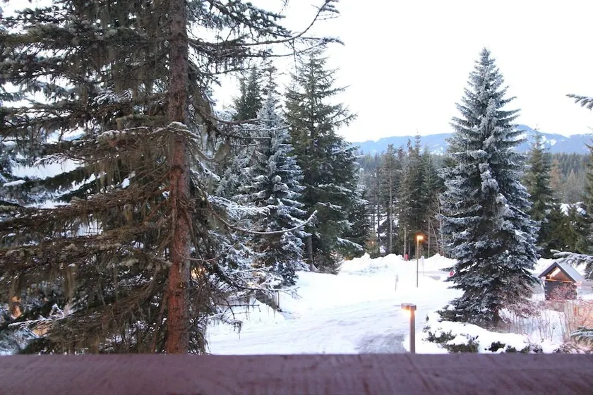 Villas Snowberry by Whistler Retreats - Image 1