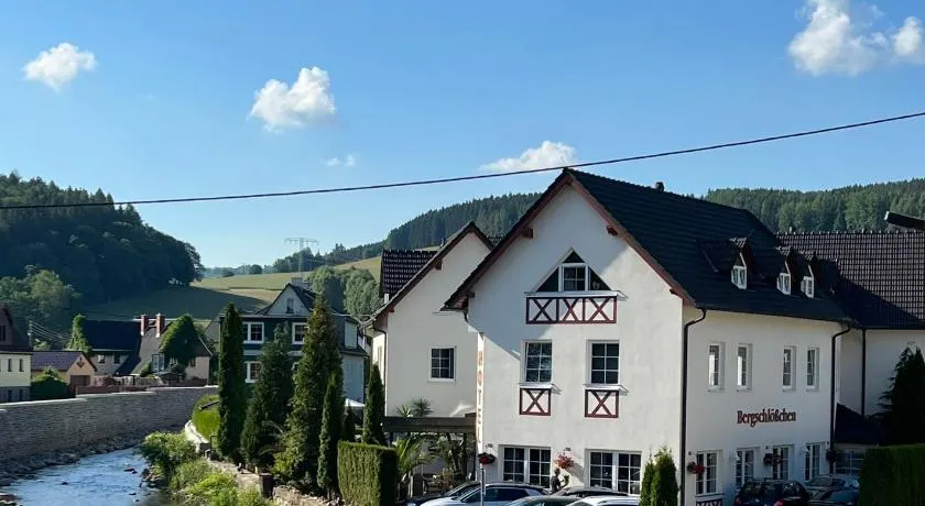 Hotel Bergschlößchen - Image 1