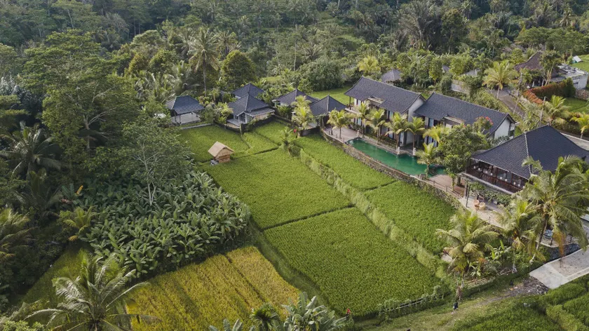 Pinggala Villa Ubud - Image 1