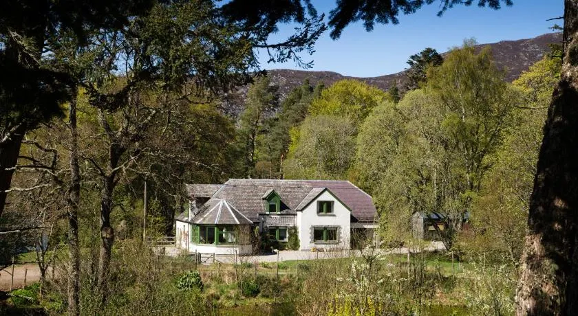 Wee Wilds - Image 1