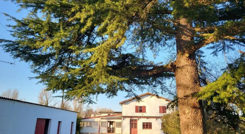 Auberge du Trinquet - Image 1