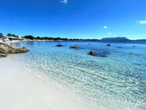 Sea Love - Image 1