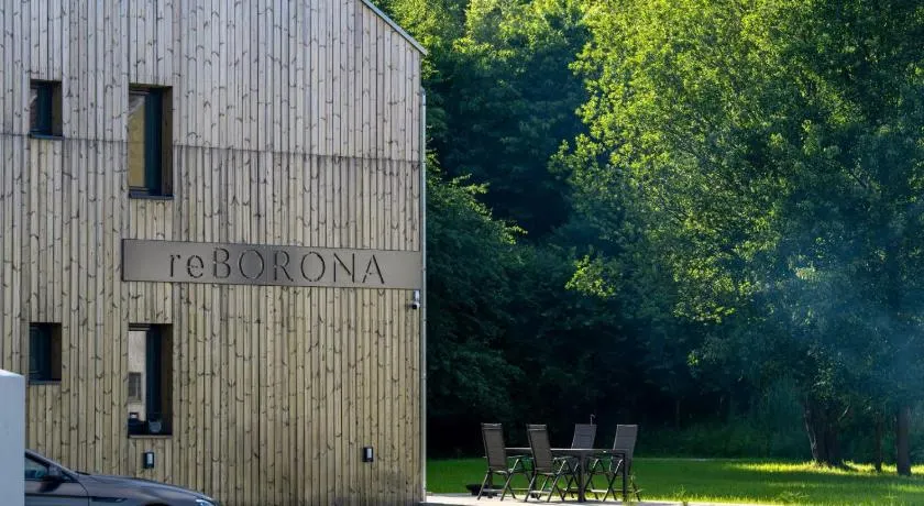 reBORONA - Image 1