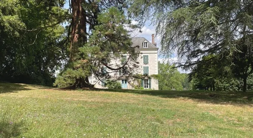 Entre les branches - Image 1