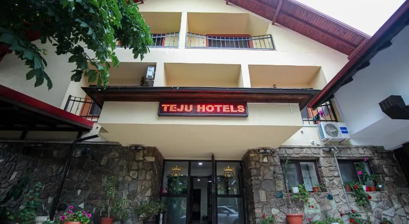 Teju Hotels - Image 1