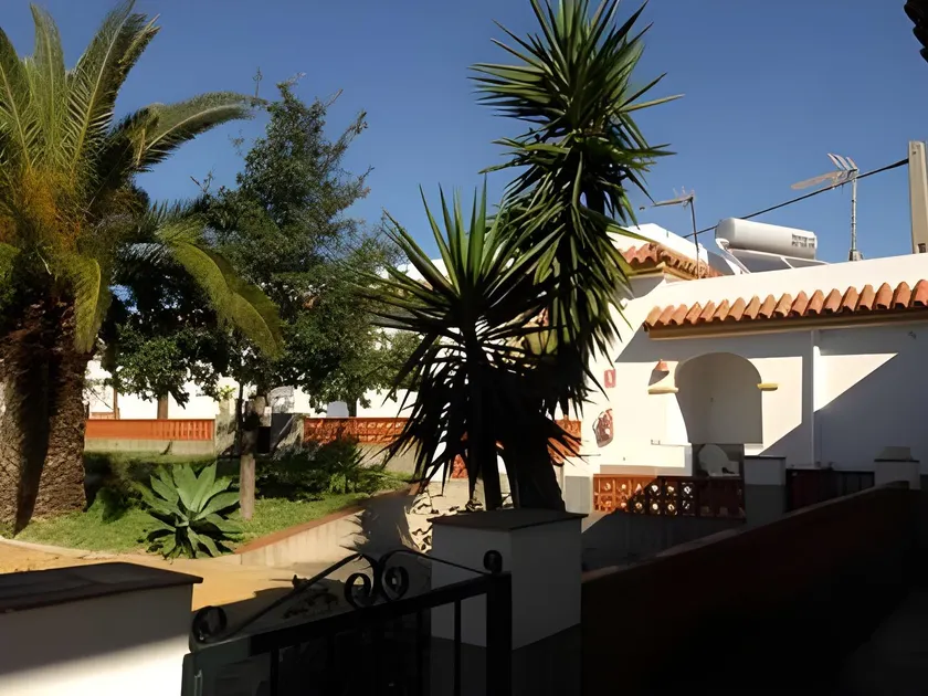Apartamentos Bellavista Bolonia - Image 1