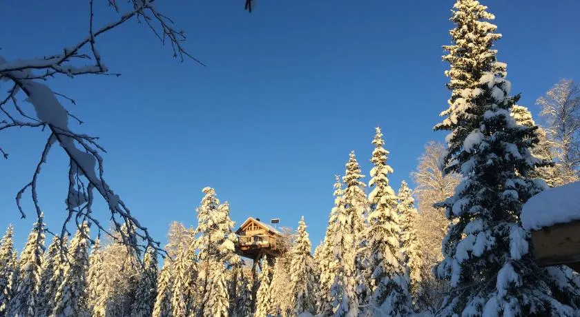 Faråsen Luxury Treetop Cabin - Sleep Among the Trees - Image 1