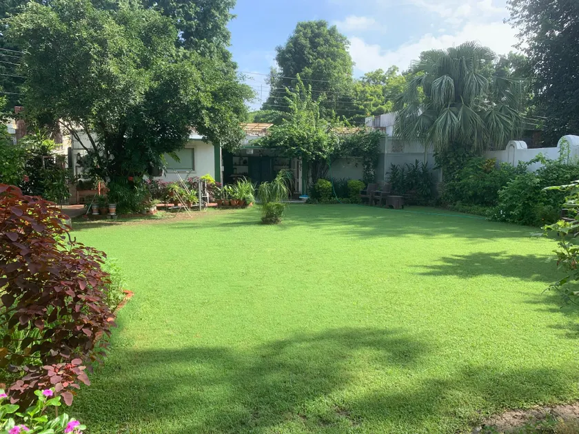 Green Serene Abode - Image 1