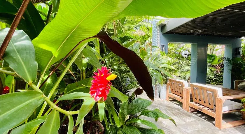Lahania Lux Beach Villa - Image 1