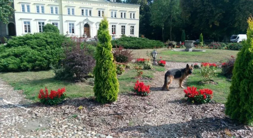 Pałac Kwilecki -AGROTURYSTYKA PREMIUM & SPA - Image 1