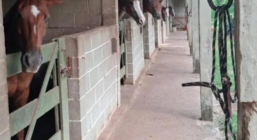 Estância Jockey Clube - Image 1