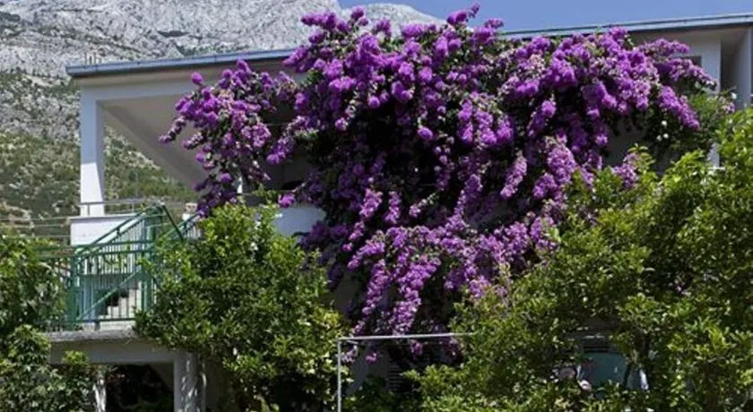House Marta - Image 1