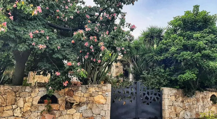 B&B Chorisia - Image 1