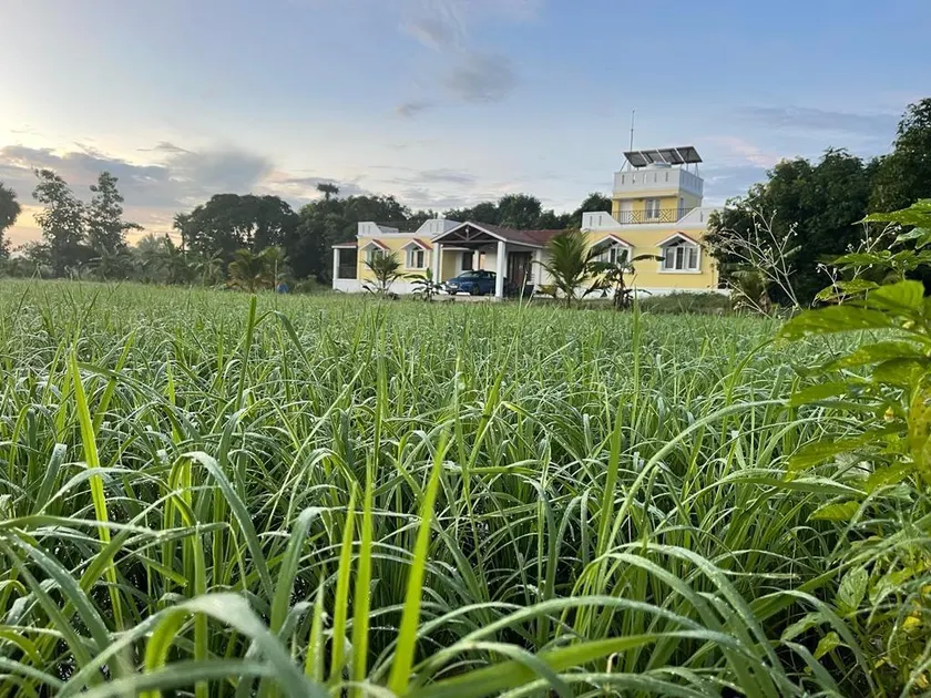 Gather For Green OrganicFarmstay - Image 1