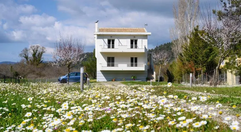 Aliki`s Luxury Suite with view, pet friendly! - Image 1