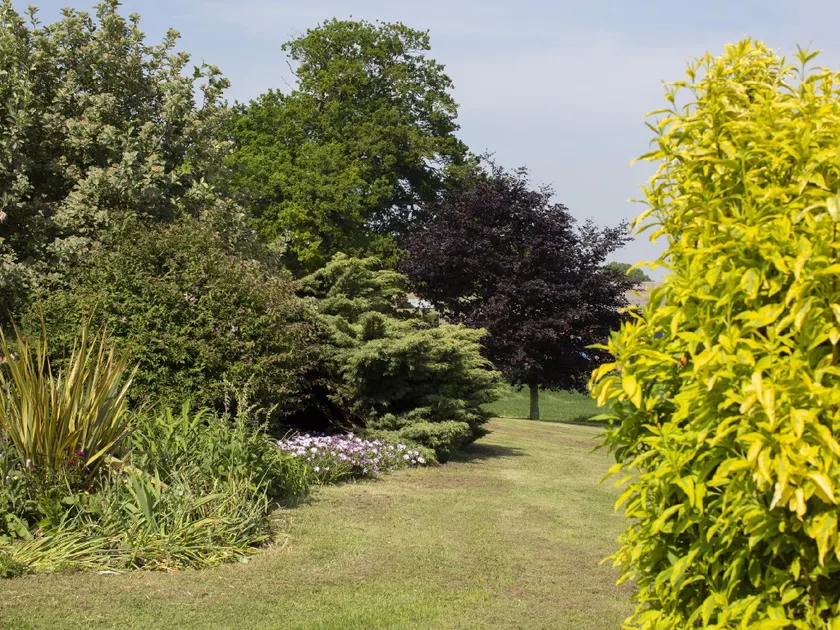 Earsham Park Farm - Image 1