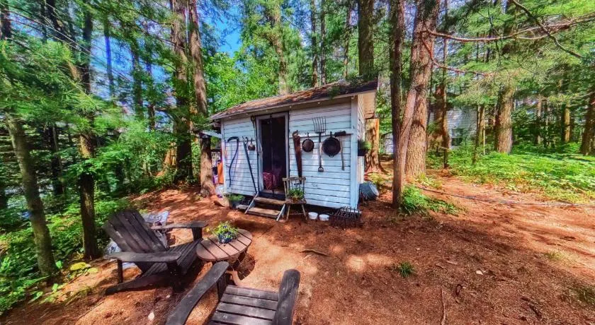 The Stabbin Cabin on Grant Island, Brantingham Lake - HotTub, Boat, Pet Friendly - Image 1