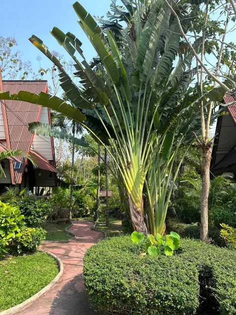 Soft Resort Kad Farang Hangdong - Image 1