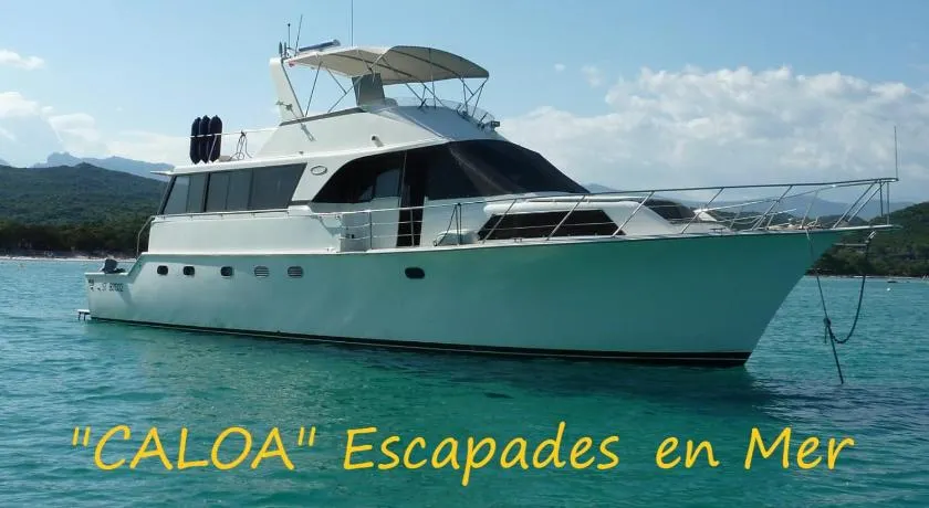 Ocean Yacht Trawler - Le Caloa - Image 1