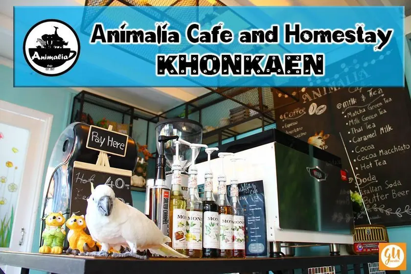 Animalia cafe and homestay - Image 1
