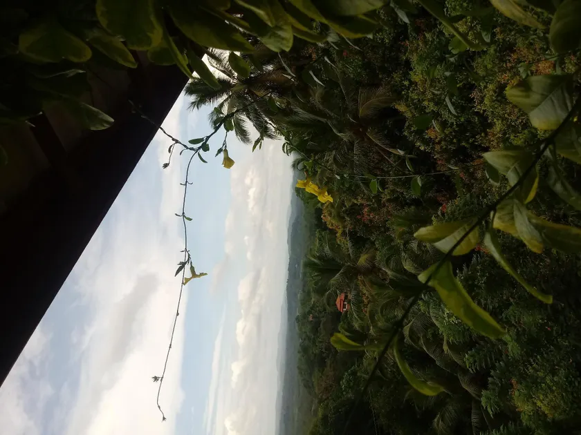 Cinnamon Leaf villa - Image 1