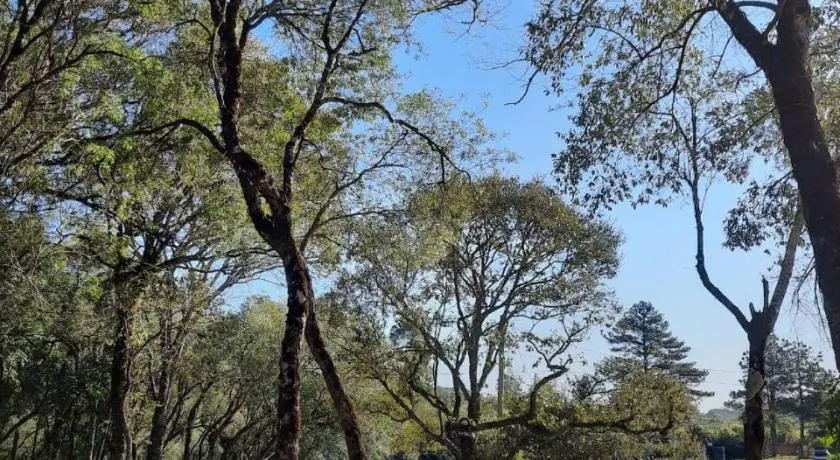 Pousada Quinta Sao Pedro - Image 1
