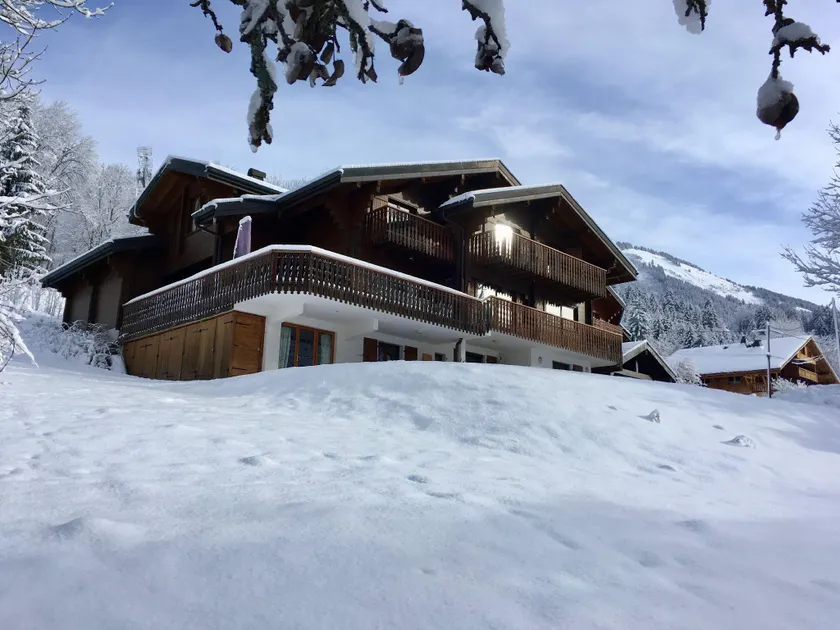 Chalet Blanc Chatel - Image 1