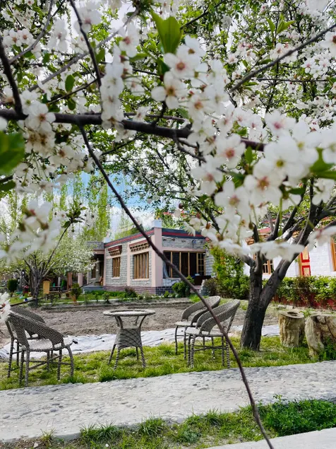 The Kesar Guest House Sumoor - Image 1