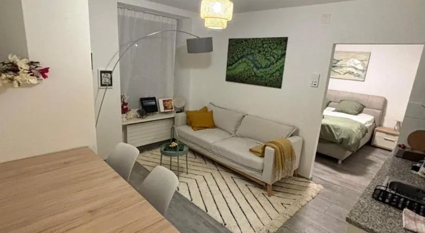 Top Apartment in Center of Zurich - Image 1