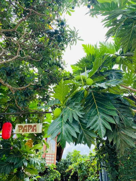 PaPa Coffee & Homestay - Image 1
