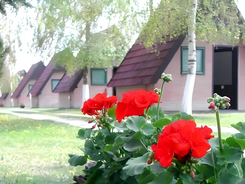 Bauer Resort - Countryside Retreat - Image 1