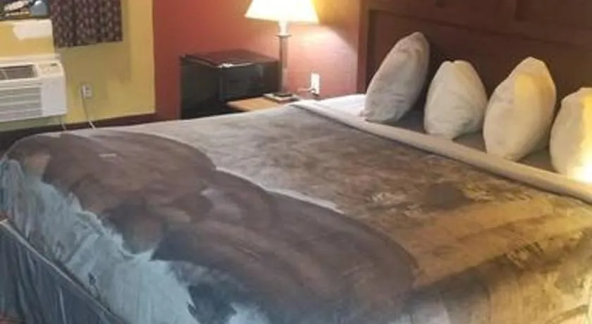 OSU 2 Queen Beds Hotel Room WiFi 229 - Image 1