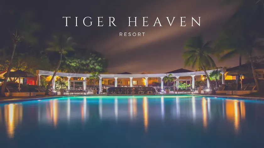 Tiger Heaven Resort - Image 1