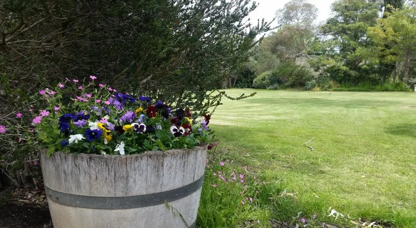 Padthaway Caravan Park - Image 1