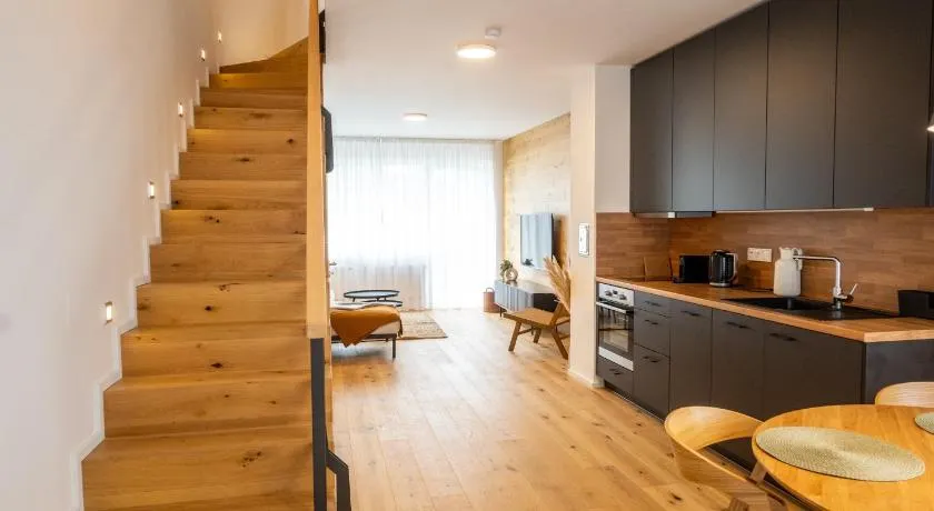 Meadows Apartments Klínovec - Image 1
