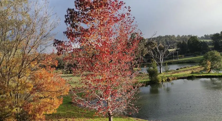 Woodlands of Balingup Bush Cottages -Flora & Fauna focused - Image 1