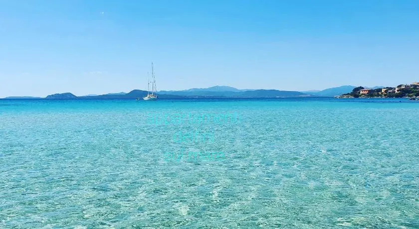 Appartamenti delfini terza spiaggia - Image 1